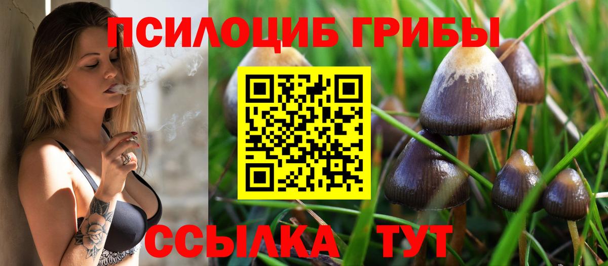 Галлюциногенные грибы Cubensis  купить наркотики цена  Вход с VPN  Грязи  Псилоцибиновые грибы Cubensis 